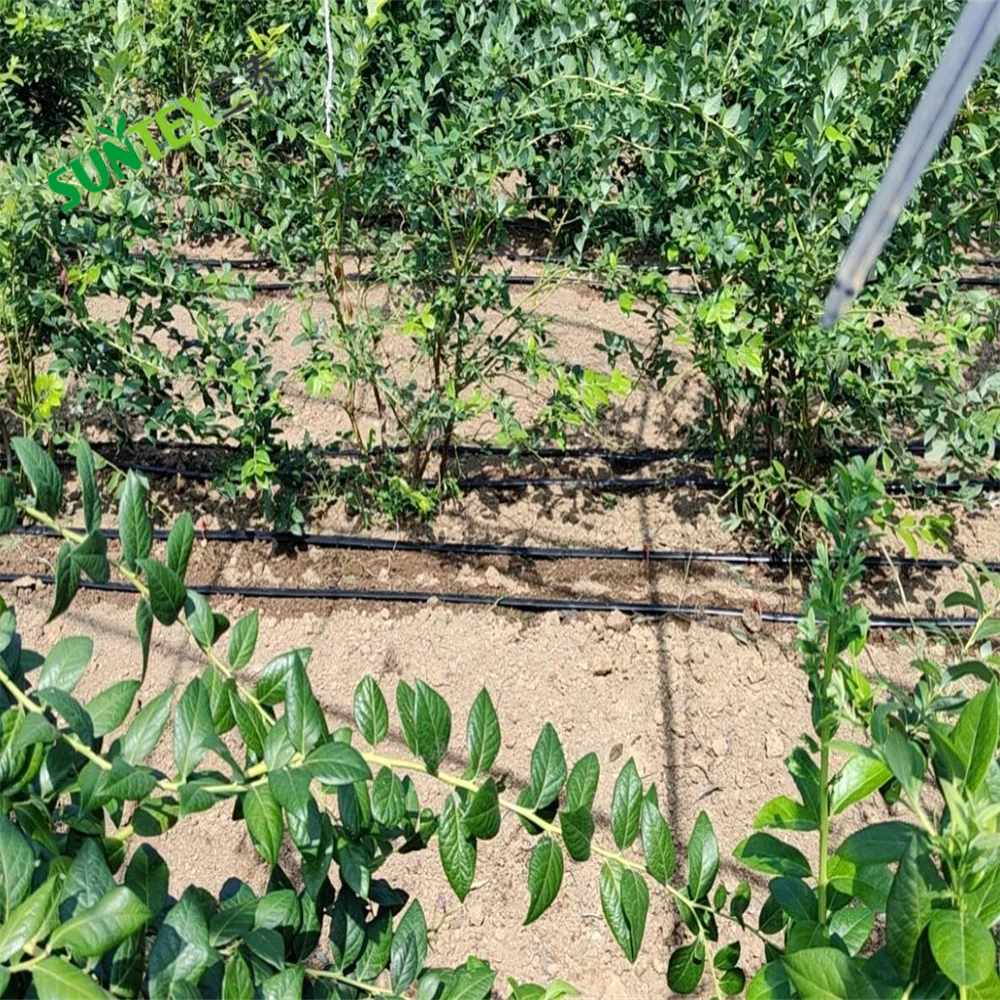 Сельскохозяйственная ферма, Полиэтиленовая пластиковая труба, плоская капельная ирригационная лента, линия капельного орошения 16 мм 20 мм