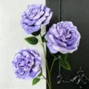 สีม่วง