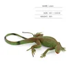 lizard