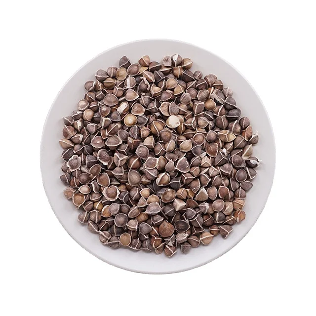 10 lbs Moringa Seeds Wholesale Semillia Organic,Wholesale pack Free Shipping 
