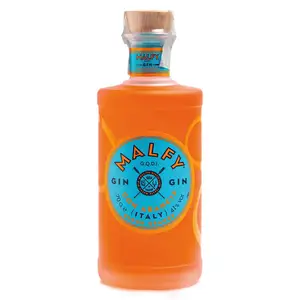 Premium Gin Arancia 0,70 Lt 6 Bottles per Box