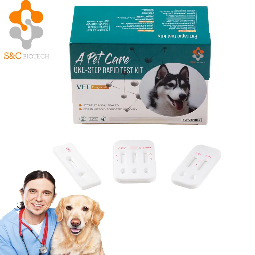 Canine Pregnancy Test: A Breakthrough In Early Pregnancy Detection U2013 Bellylabs