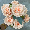 Arancione chiaro