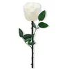 White 1