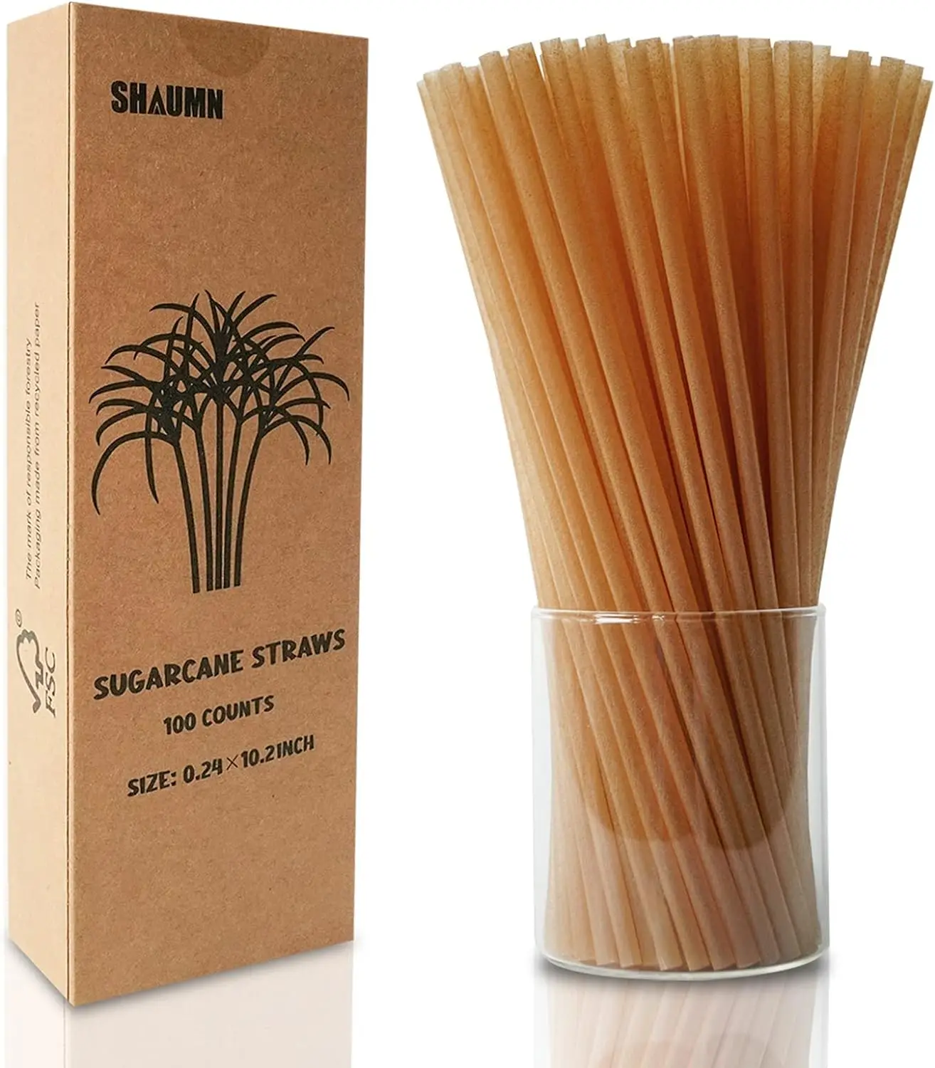 100 Pailles Géantes Noires 15 Cm X 8 Mm - Bioplastique PLA Biodégradable & Réutilisable - Fabriqué Italie