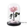Rosa kaki 08