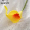 Orange heart yellow