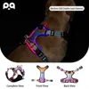 Seven-color LED illuminated double-layer chest and back brace
