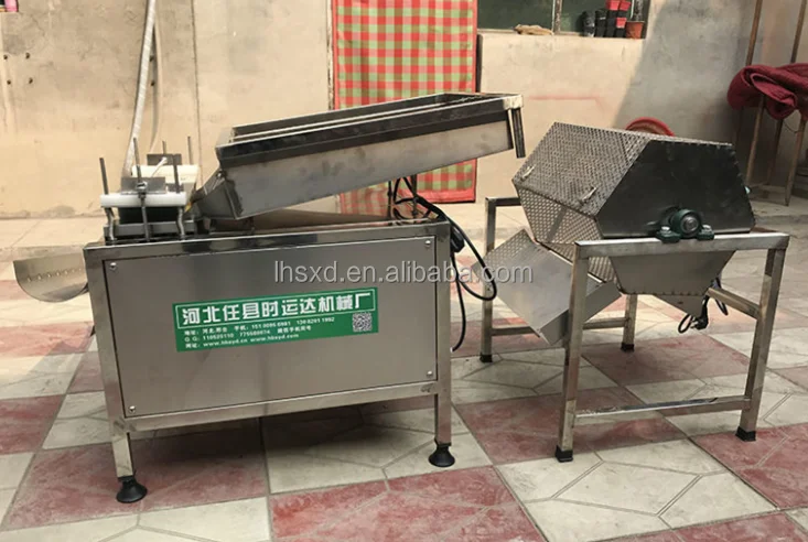 Automatic Quail Egg Sheller - Efficient & Reliable Machine