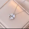 Silver 001
