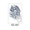 GZ-107