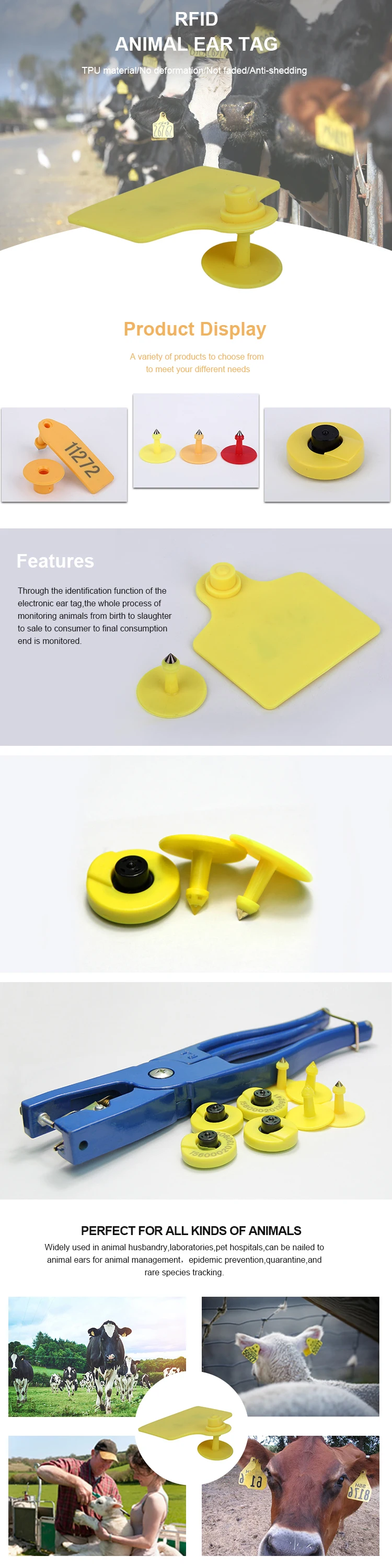RFID bull ear tag-35.jpg