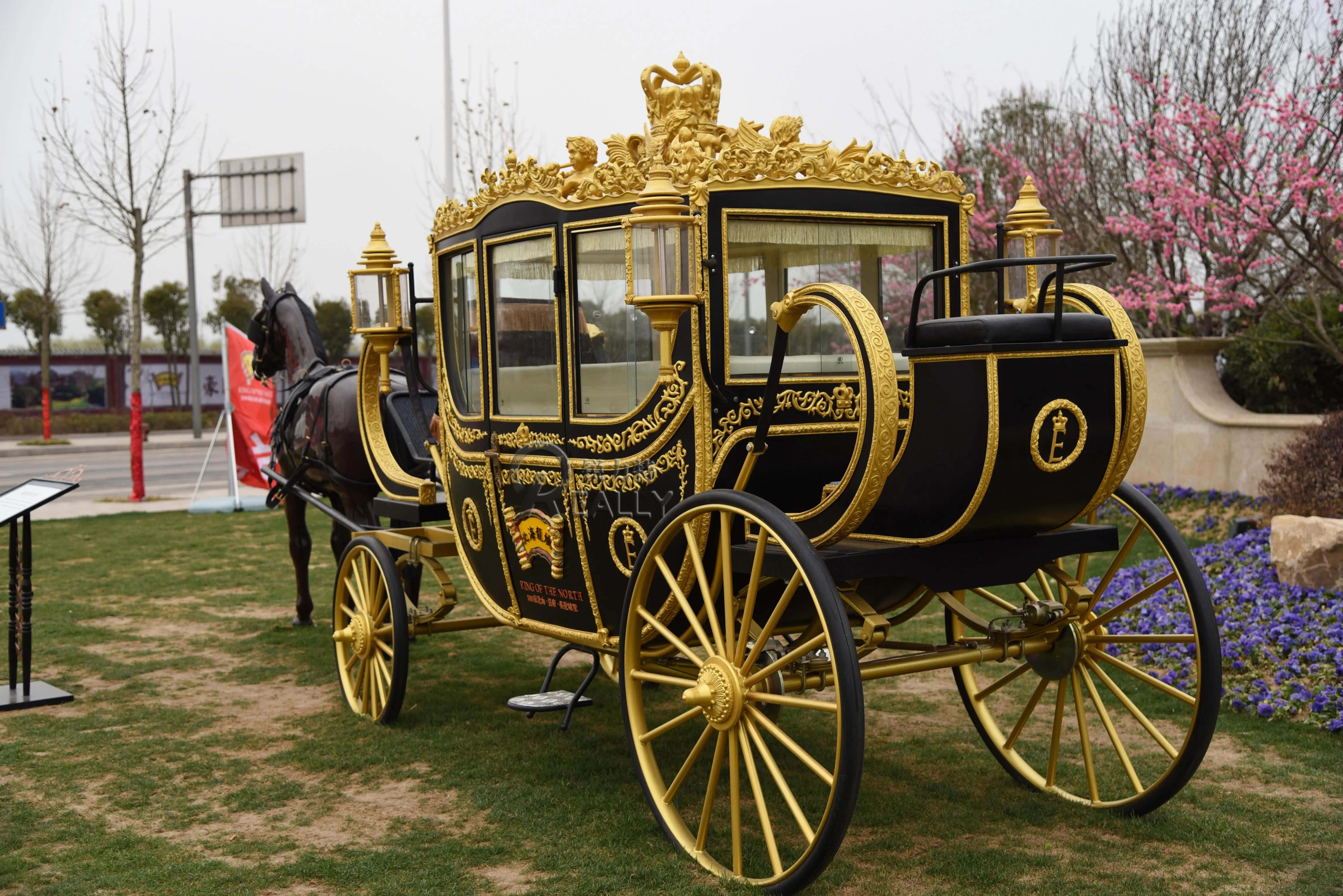 Oem European Royal Horse Drawn Wagon Electric Wedding Photography