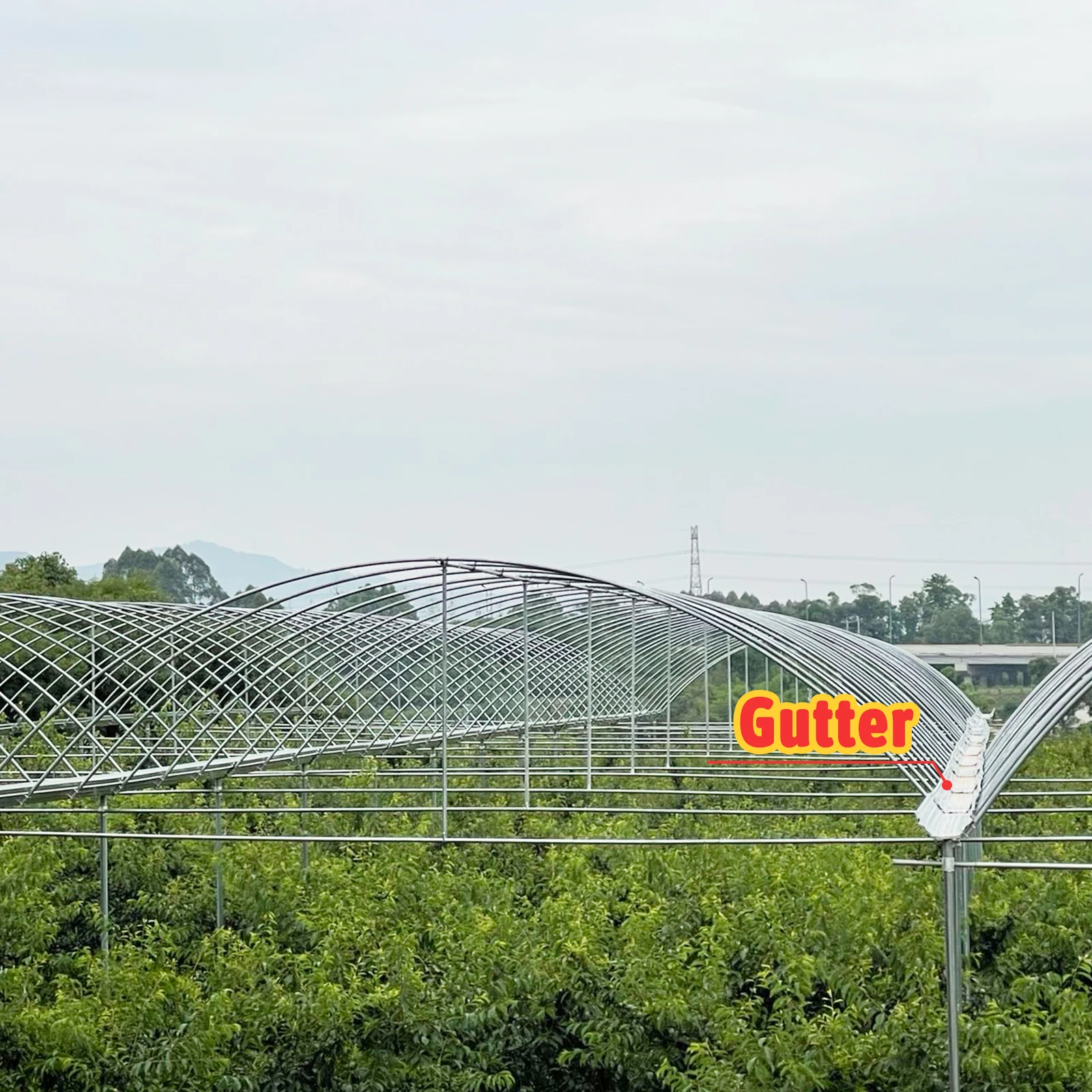 Customizable Size Hot Dipped Galvanized Steel Frame PE Film Covering Rain Shelter Greenhouse for Plants Cultivation