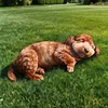 Cane arancione2