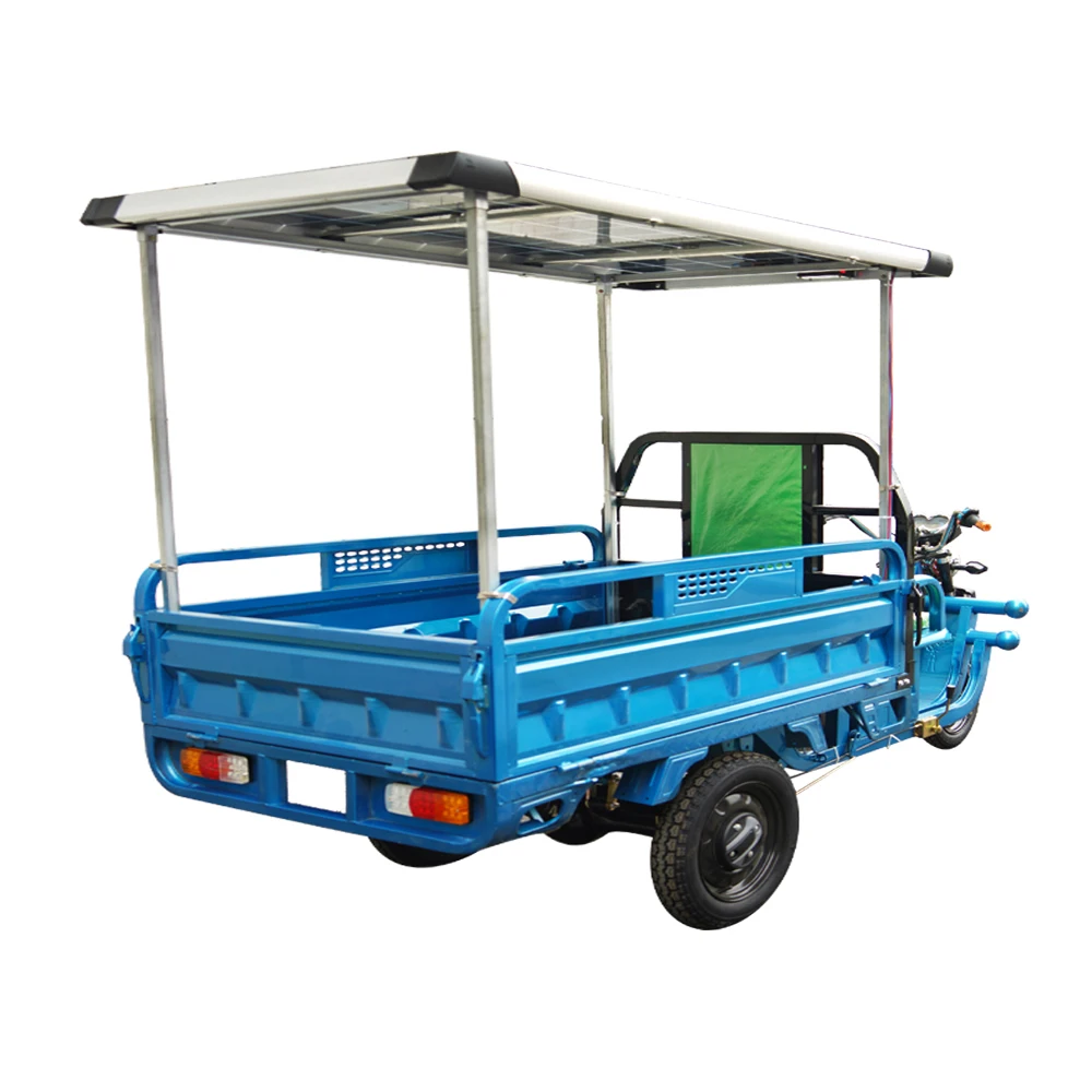 3-колесный Электрический трехколесный электрический велосипед солнечная панель 500