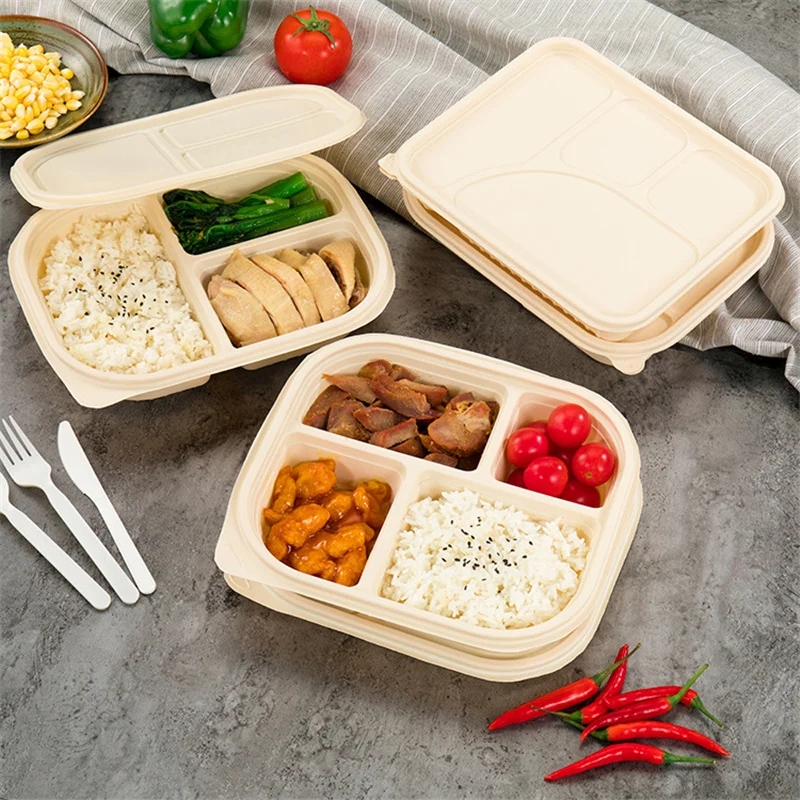 Food Safe Containers Disposable Trays With Lids