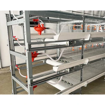 Poultry Equipment Unmanned H Type Broiler Cage PP Belt Manure Removal System Battery Chicken Cages for sale Chicken Cage