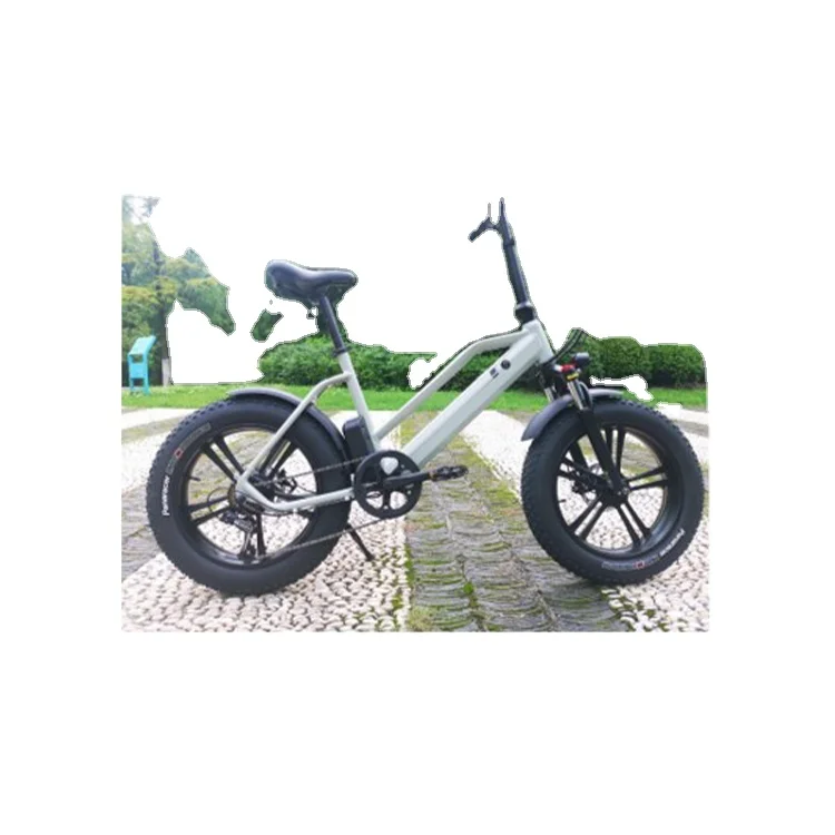 5 Advantages of Electric Bike 500w