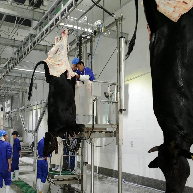Hydraulic skin peeling machine cow slaughtering equipment