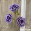 Purple manta rose