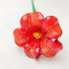 ซี