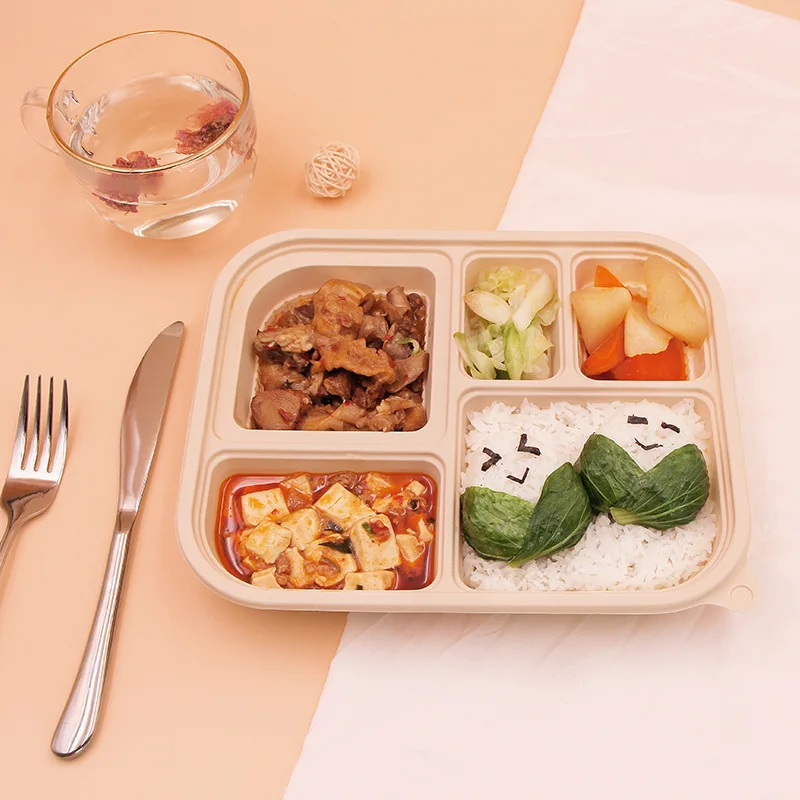 Biograde Fast Food Boxes Takeaway Packaging Disposable