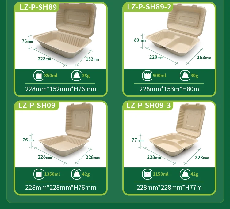 Bagasse box 8