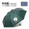 Manual] 8-bone regular gd daisy-dark green