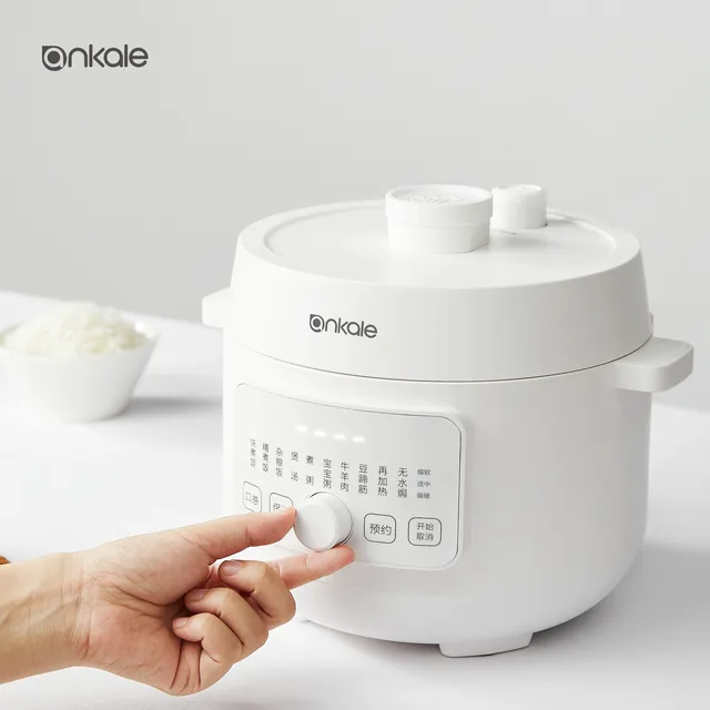 OEM manufacturer 750W electric pressure cooker touch control 2 liter electric pressure cooker rice