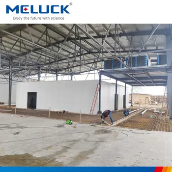 Air-Cooled 100mm Panel Thickness Cold Storage Room Copeland Brand Low Temperature Refrigeration Unit for Meat Storage
