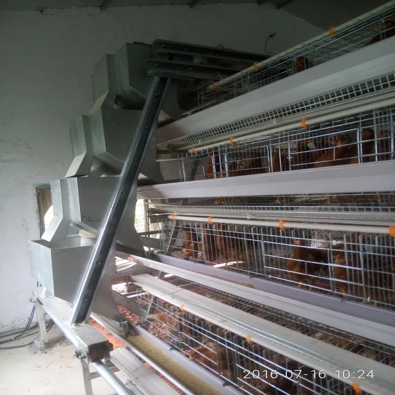 A Type 4 Tier Chicken Layer Battery Cage for 10000 Birds