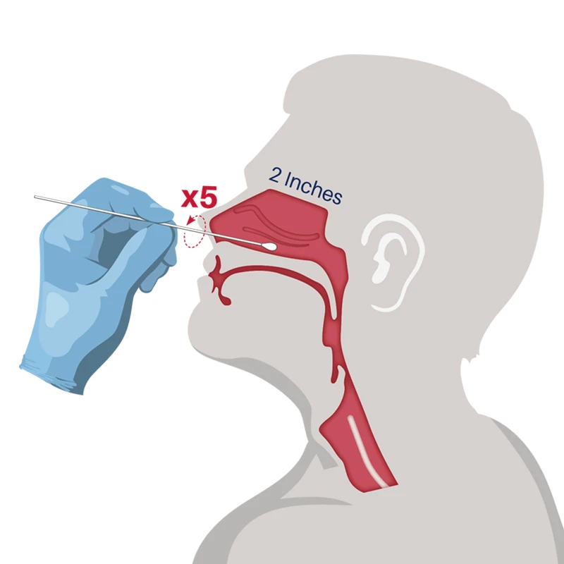 Laboratory Transport Flocking Nylon Flocked Urethral Swabs test Sterile Naso Nasal Nasopharyngeal Swab