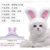หมวกกระต่ายสีขาว