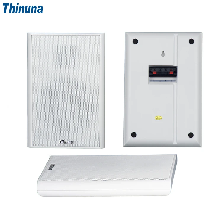 Thinuna XS-25 Pa Sound System Speaker Audio System Sound 20W Slim Super Slim Wall Mounted Speaker for School