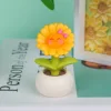 Warm sunflower-model b