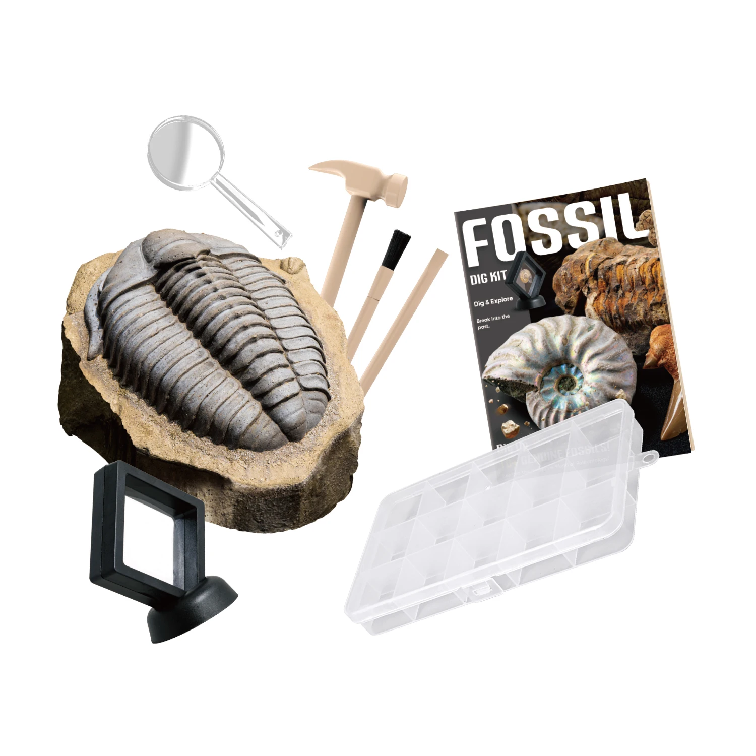 Educational Stem Dig Out Your Pearls Toys Dig Kit National FOSSIL Diy Excavation Kits