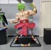 Broly de 210CM
