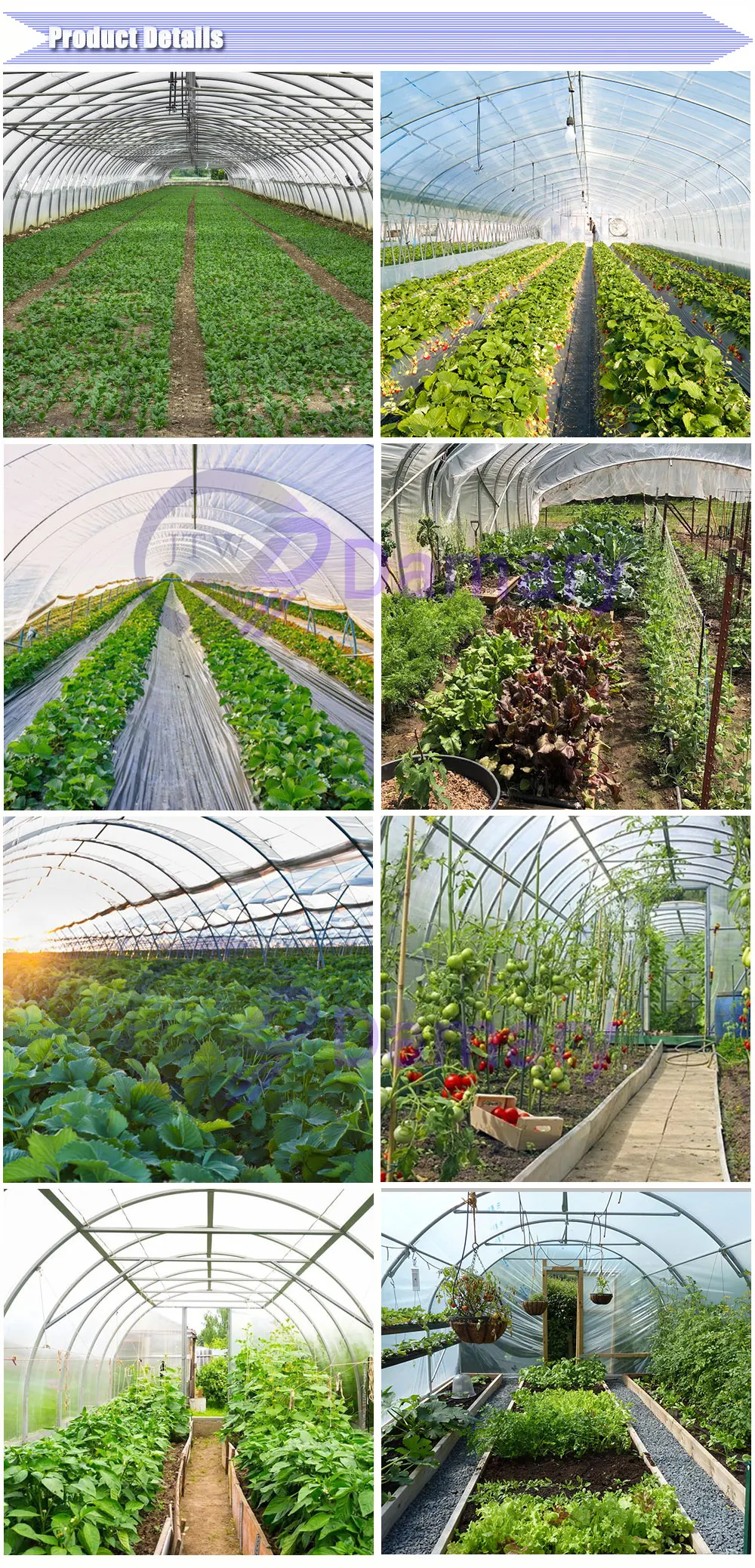 Eco-Friendly & Non-Polluting 200 Micron Anti-UV Covering Film Greenhouse Plastic of Green Color for Gardens manufacture