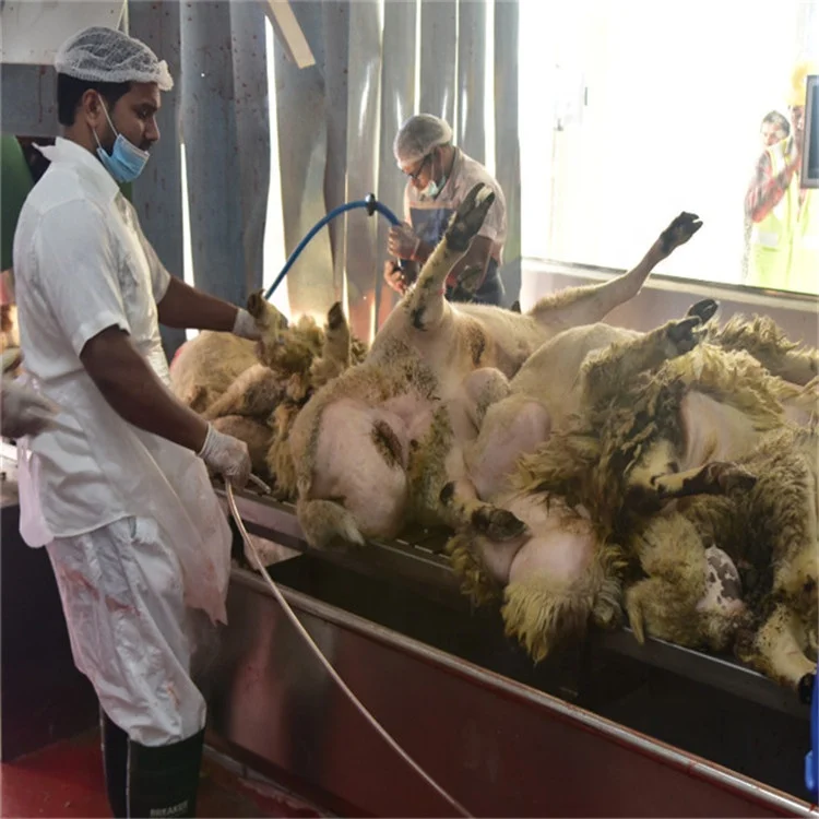 Sheep and sheep automatic slaughtering and processing line: