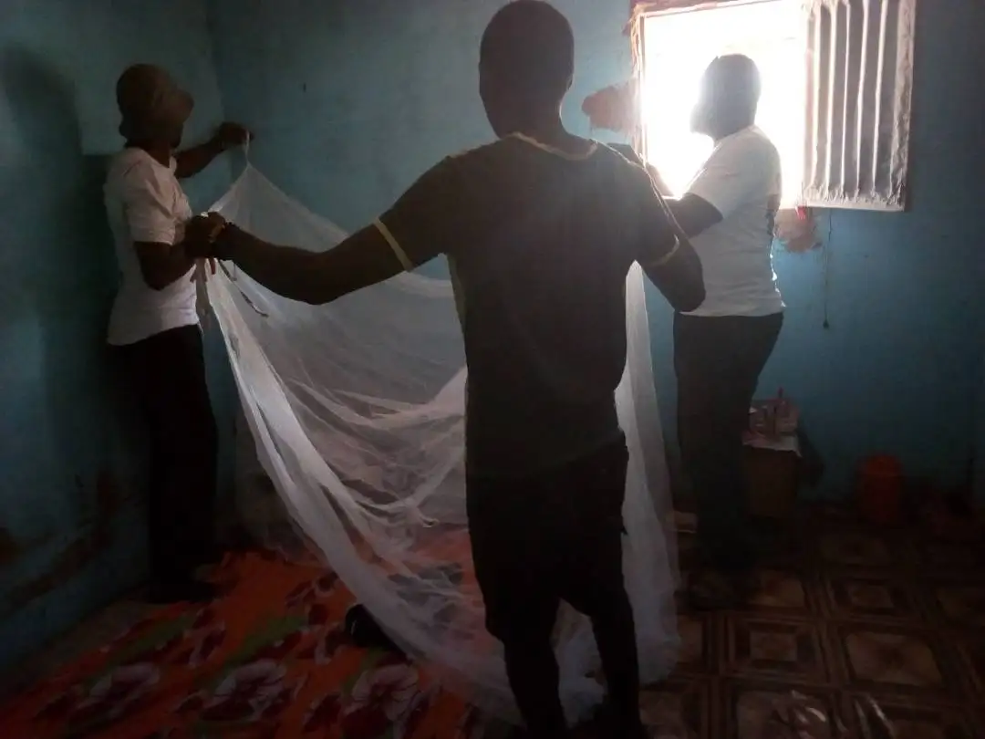 Pe Mosquito Net in Myanmar Hot Saleplastic Mosquito Net
