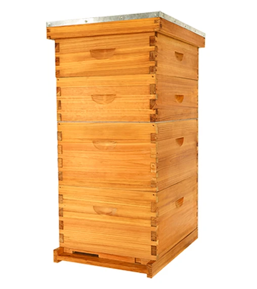 Transparent Bee Frame Beekeeping Transparent Bee Hive - Observation & Inspection
