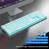 Blanco con luz azul - Modo BT 2