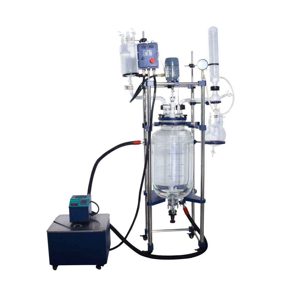 Customized Bioreactor with Vacuum Pump and Chiller 10L