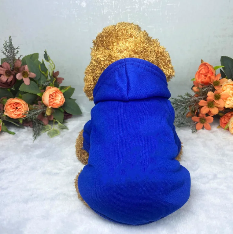 2023 New Product High Quality Warmly Designer Bruched Hoodie Luxury