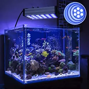 bozily aquarium light