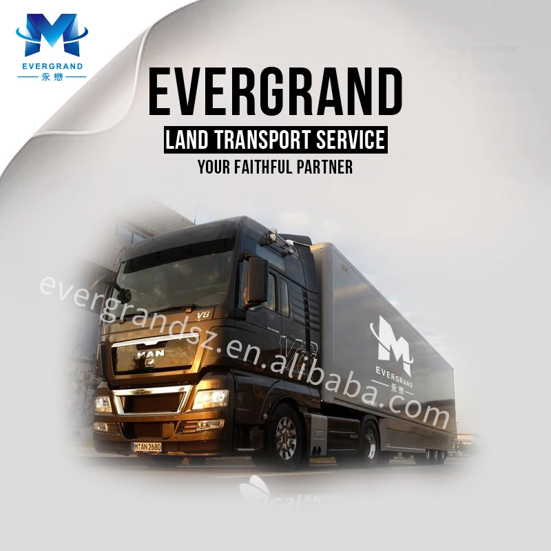 10 Years Sea Transport Freight Forwarder Shipping Agent Door to Door Sea Freight China to Namibia/Walvis Bay