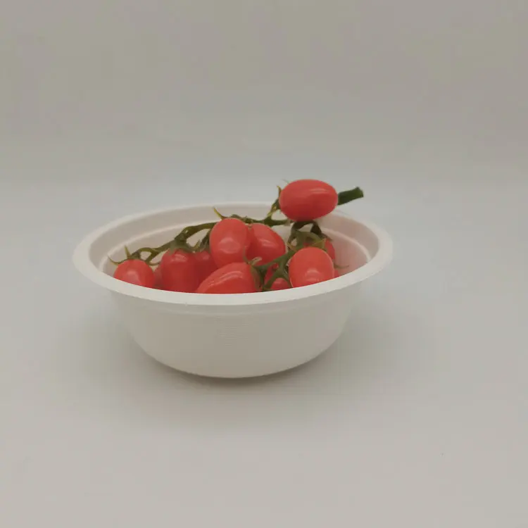 bagasse bowl (16).jpg