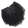 clip in hair natural color