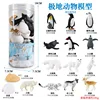 DT Mini Polar Animals 13 + accessories (barrel)